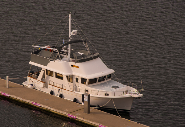 mv Bess Safari